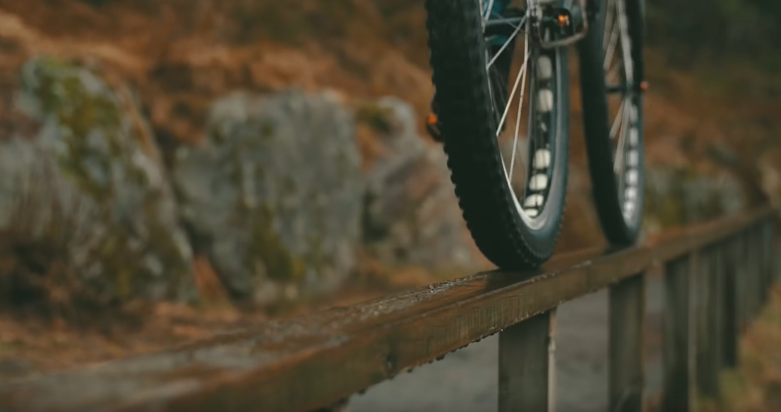 Video: Echo Dot Bike the Welcome