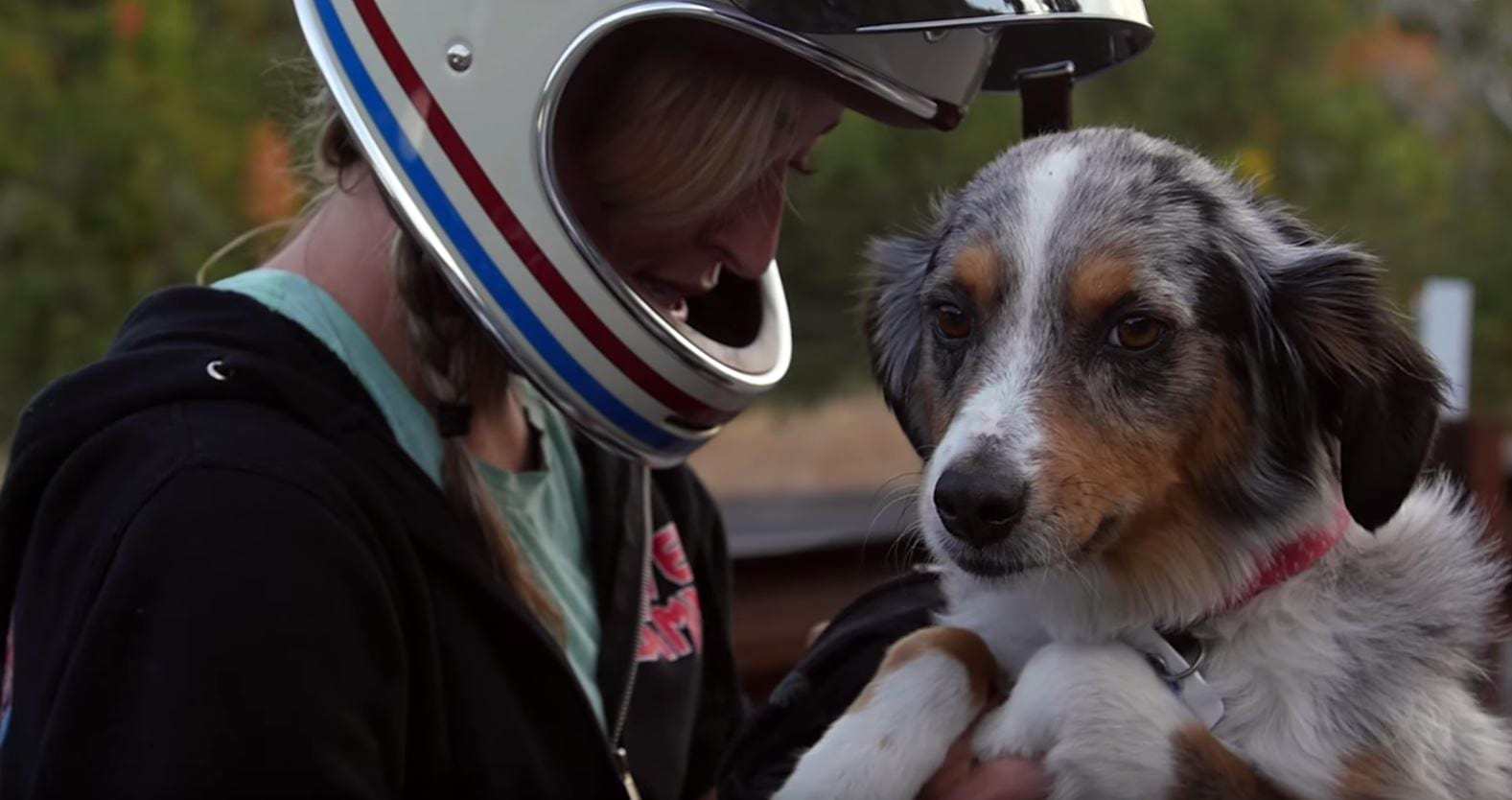 Video: Wild Women of Wasatch & Their Trail Dogs