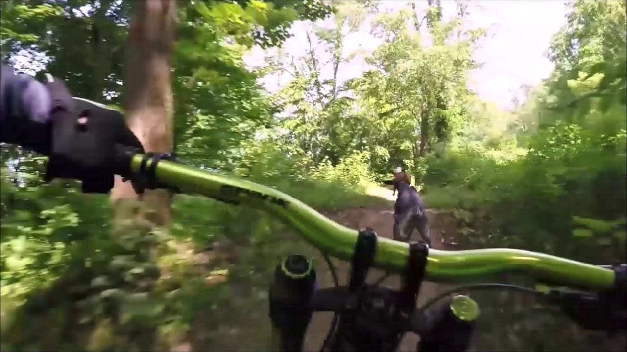 Trail Dogs Maggie And Atlas Bombing Baileys Mountain Bike Park